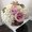 Photo of Janesse S.