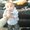 Photo of Skye N Ruandy L.