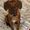 Photo of Izzy A.