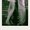 Photo of Qype User (domini…)