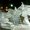 Photo of Nicole R.
