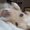 Photo of Cat G.