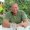 Photo of Pete R.