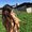 Photo of Jasmine G.