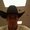 Photo of Steve S.