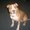 Photo of Buster Z.