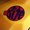 Photo of William O.
