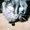 Photo of sneak s.