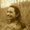 Photo of Alyssum P.