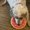 Photo of Lola B.