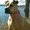 Photo of Mariah H.