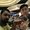 Photo of Aniket P.