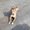 Photo of Pd S.