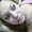 Photo of Erika R.