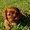 Photo of Danica H.