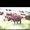 Photo of Brian B.