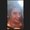 Photo of Maryanna T.