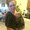 Photo of Angie P.