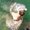 Photo of Qype User (--tigg…)