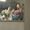 Photo of Haley S.