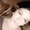 Photo of Madelyn W.