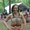 Photo of Karen R.