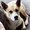 Photo of Brutus F.