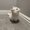 Photo of Munchkin L.