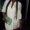 Photo of Misha G.