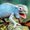 Photo of Nancy R.