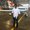 Photo of Ashwin K.