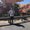 Photo of Josue P.