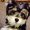 Photo of Snoopy W.