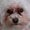 Photo of Madelyn S.