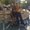 Photo of Andreina L.