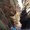 Photo of Lissa M.
