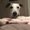 Photo of Carley T.