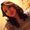 Photo of Viridiana D.