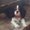 Photo of Breanna G.