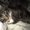 Photo of raquel s.