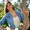 Photo of Micaela B.