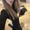 Photo of Celine C.