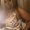 Photo of Vernette L.