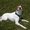 Photo of Doug E.
