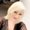 Photo of Sue A.