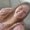Photo of Traci B.
