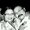 Photo of MarshallnTina S.