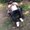 Photo of Rodrick D.