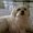 Photo of Lorri G.