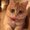 Photo of Jefferey M.